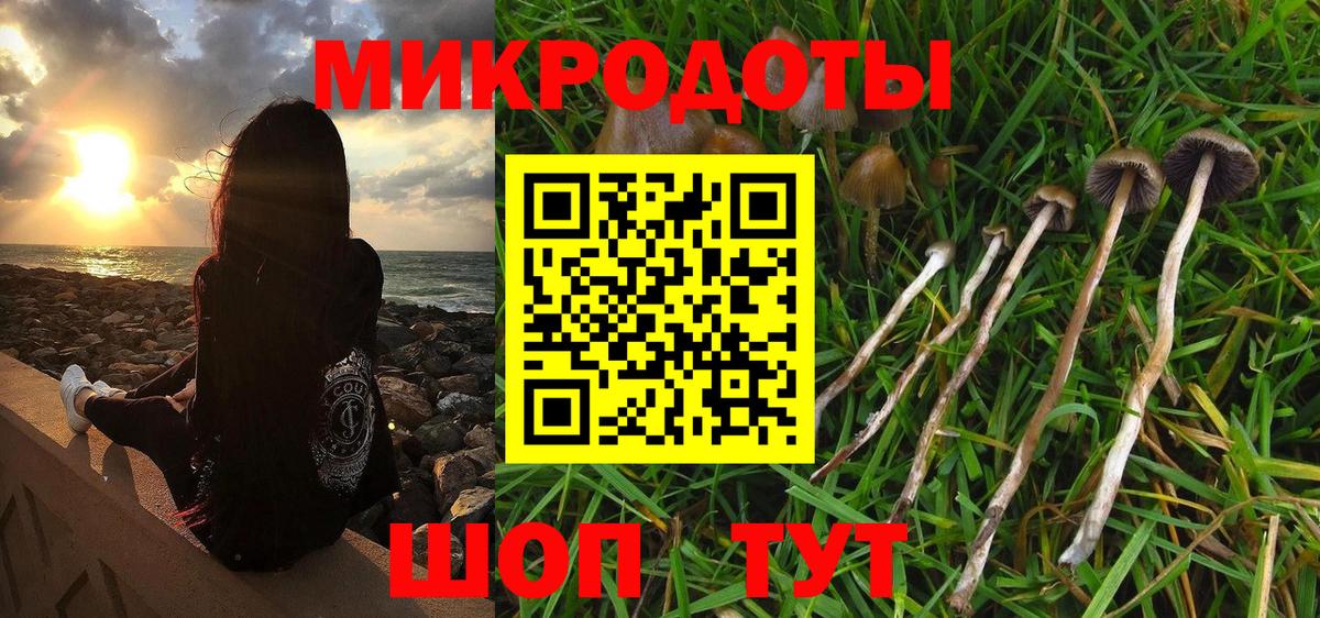 Псилоцибиновые грибы Cubensis  Вход с VPN  закладка  Солнечногорск 